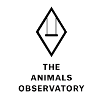THE ANIMALS OBSERVATORY logo