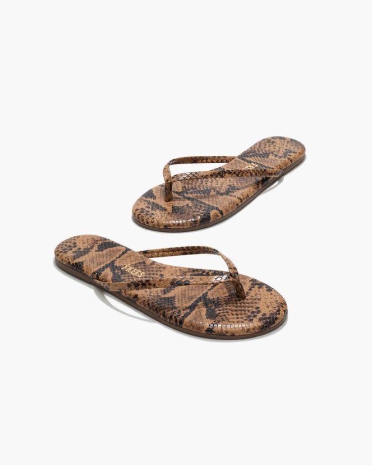 Studio Exotic - Coco Snake