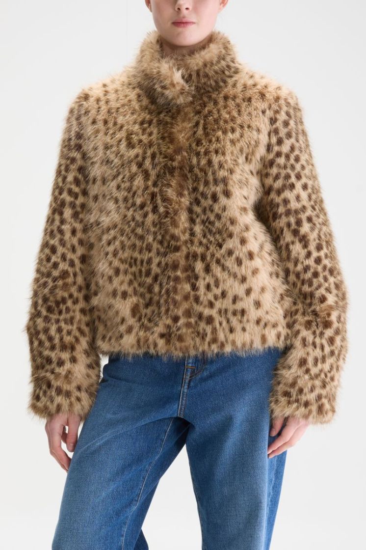 ENJOY DIA DISPLAY A
