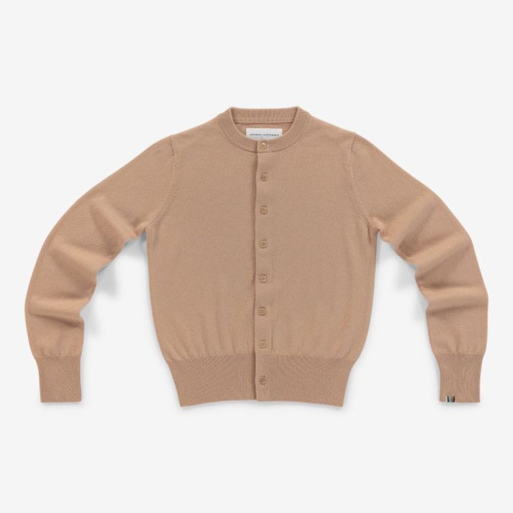little2 013 CAMEL