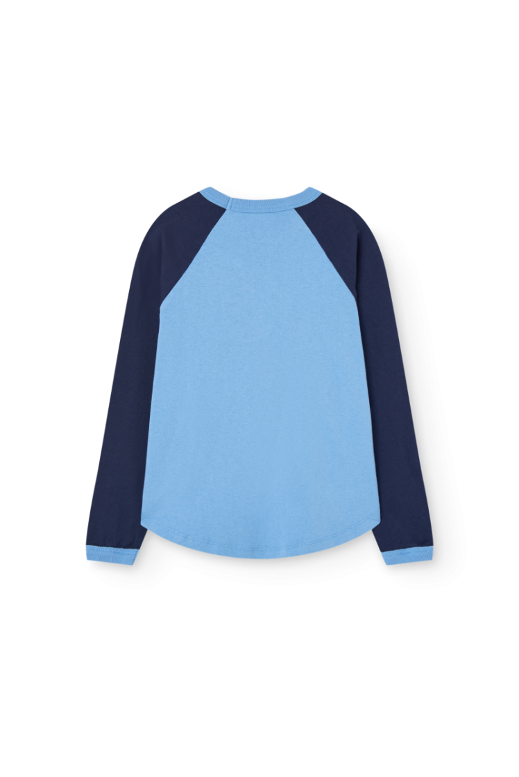 ANTEATER - DUSTY BLUE